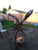 Eagle Fire Pit